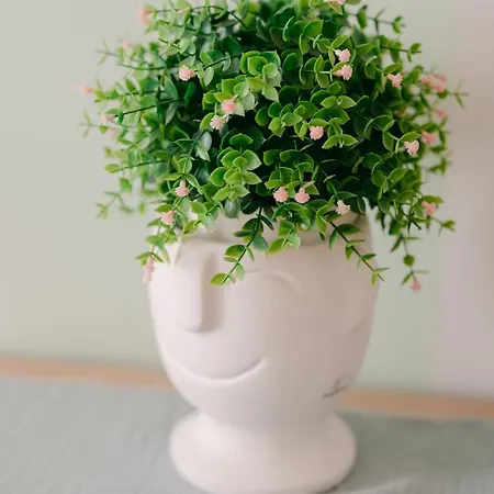 公寓 L'anita - Hyper Centre