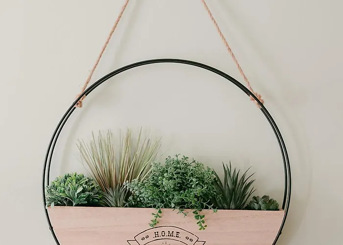 L'anita - Hyper Centre